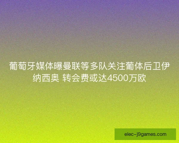 葡萄牙媒体曝曼联等多队关注葡体后卫伊纳西奥 转会费或达4500万欧